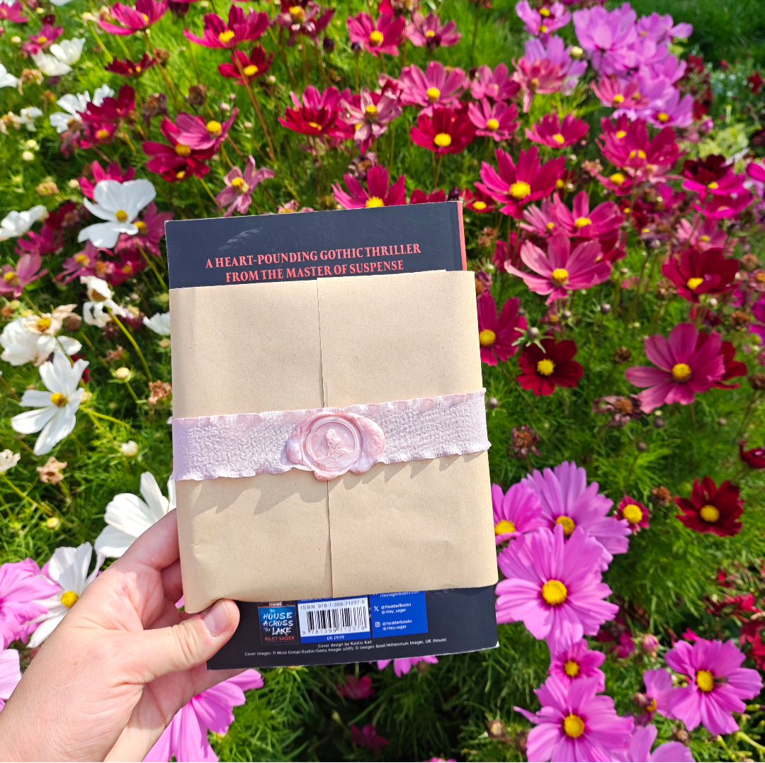 Surprise Book | Twisty Thriller | A child slips away