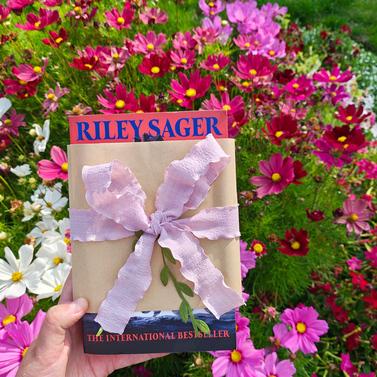 Surprise Book | Twisty Thriller | A child slips away